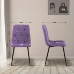S&ouml;&ouml;gitoa tool Clairton kangas, Violetinė