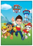Carbotex pleed Paw Patrol, 100x140 cm
