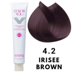Young Color You Juuksev&auml;rv pleksi, keramiidide ja kinoa 4.2 100ml