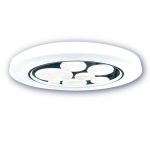 LED-laelamp h&auml;mardatav 24W, puldiga