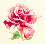 Aida komplekt tikkimiseks Kaunis roos 11x11 cm