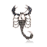 Unikaalse disainiga pross , Scorpion1