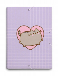 Kohver A4 "pusheen Moments" ja kummipaelaga, lastele