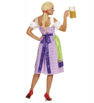 "DIRNDL" (p&otilde;llega kleit)