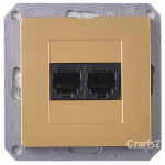 Topelt Rj45 interneti pesa, kuldne, Premium seeria