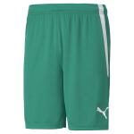 PUMA meeste jalgpalli l&uuml;hikesed p&uuml;ksid PUMA teamLIGA Shorts Pepper Green-Puma - 70492405, roheline