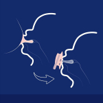 Lovi d&uuml;naamiline silikoonist lutt 3-6 kuud. 2 tk. Lipsuv&auml;rv