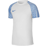 Nike Dri-FIT Academy JSY SS meeste s&auml;rk, valge-sinine, DH8031 102, M