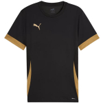 Puma teamGoal Matchday Jersey meeste s&auml;rk must-kuldne 705747 28
