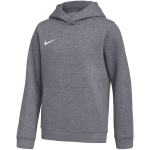 Nike Park 26 Fleece Hoodie laste kapuutsiga pusa, hall IB1226 071