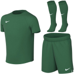 Nike Dri-Fit Park VIII laste spordikomplekt, roheline HV8260 302