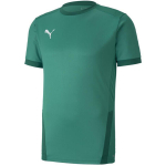 Puma teamGOAL 23 meeste s&auml;rk, roheline 704171 05