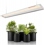 LED taimelamp SPIDER FARMER SF600, LED lempa augalams SPIDER FARMER SF600