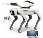Nutikas robotkoer puldi ja rakendusega