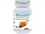 Toidulisand Crab Curcumin 95% Planet Ayurveda&reg; 60 kapslit
