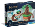 Kunsti ja k&auml;sit&ouml;&ouml; m&auml;nguasi Clementoni Harry Potter Mandrake&rsquo;i terrariumi &bdquo;Tee ise&rdquo; komplekt, alates 7. eluaastast