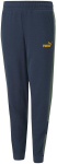 Puma P&uuml;ksid Ess Block Sweatpants Blue Green 849083 73