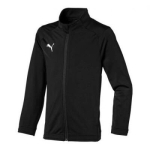 Poiste dressipluus Puma Sideline Jr 655947 03, must