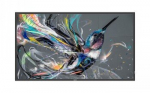 Televiisor Videosein - Philips - 43BDL3511Q/00 - Ultra HD 4K - 43 tolli - 3840 x 2160 px