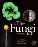 Fungi 3rd edition