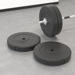 vidaXL kangikettad 2 tk, 30 kg, tsement
