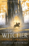Tower of the Swallow: Collector's Hardback Edition