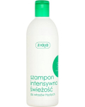 Ziaja Intensiivne v&auml;rskendav &scaron;ampoon rasustele juustele piparm&uuml;ndiga, 400ml