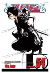 Viz Bleach Vol. 54 paberkandjal manga