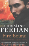 Fire Bound