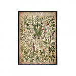 Vintage Taimed &Otilde;petlik L&otilde;uendiplakat, Taimede Seinatekst, 30,48x40,64 cm Be rėmelio