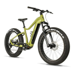 Elektriline fatbike LEADER FOX Braga 26" (2024) Green, 18" M