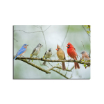 Pilt l&otilde;uendil Linnud