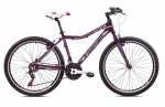 M&auml;gijalgratas Capriolo MTB Attack L, 26", lilla/roosa, Raam 19"