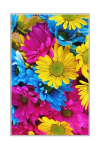 Asir vaip HMNT505 100x150 cm