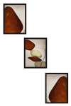 Kolmeosaline Reproduktsioon Huhu469S