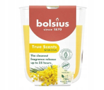 Bolsius "mimosa" l&otilde;hnak&uuml;&uuml;nal, kuni 25 tundi. p&otilde;lemine