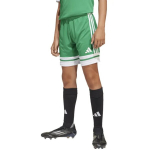 adidas SQUADRA 25 Jr l&uuml;hikesed p&uuml;ksid JN7484, adidas SQUADRA 25 Jr Shorts JN7484