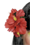 Hawaii juukselill