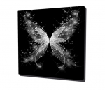 Reproduktsioon S&auml;rav liblikas