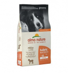 Almo Nature Holistic Maintenance koertele suuruses M, lambalihaga, 12 kg