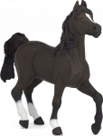 Figurine Cheval arabe - PAPO - L13 x H12 cm - Marron, noir et blanc - Pour enfant &agrave; partir de 3 ans