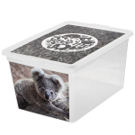 Branq hoiukast Box Deco, 15 l