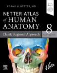 Netter Atlas of Human Anatomy: Classic Regional Approach: paperback plus eBook 8th edition