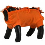 Grande Finale postoperatiivne s&auml;rk (oranž) S 28cm