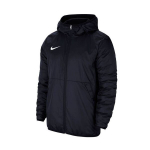Meeste jope Nike Team Park 20 Fall CW6157-451