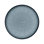 Iittala taldrik Essence, 21,1 cm