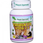 Toidulisand Tribulus Power Organic Planet Ayurveda&reg; 60 kapslit