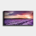 Reproduktsioon Lavendli p&otilde;ld