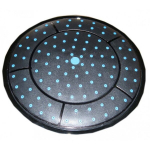 Du&scaron;ipea troopiline vihm