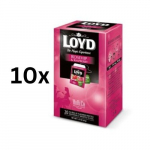 Puuviljatee LOYD HORECA sari, kibuvitsamarjade ja vaarikatega, 20 x 2g pakis 10 tk.